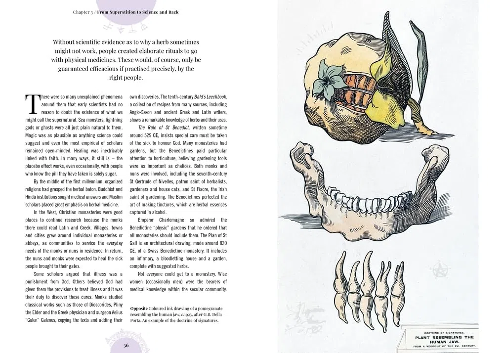 Witch's Garden: Plants in Folklore, Magic and Traditional Medicine