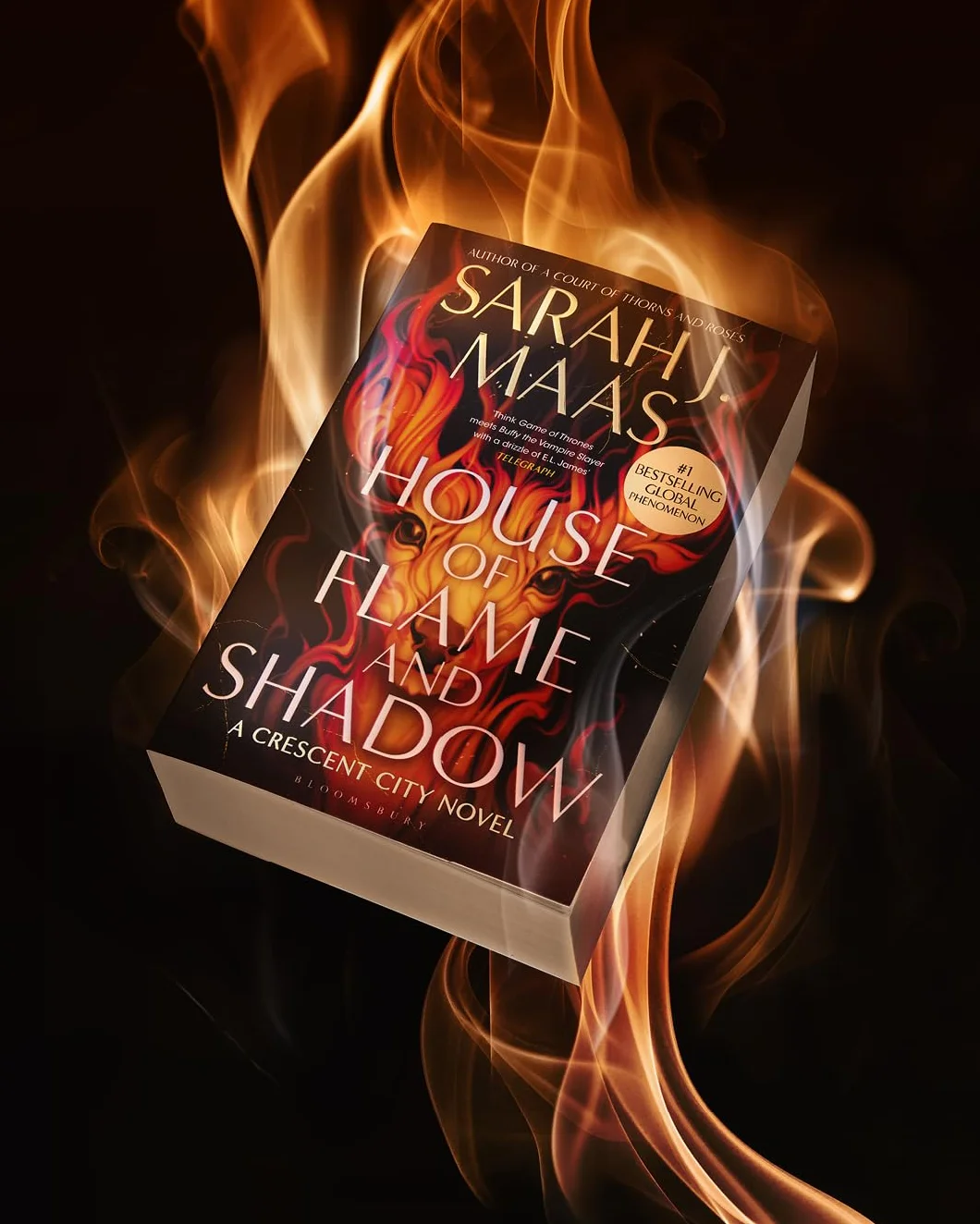 House of Flame and Shadow: The INTERNATIONAL BESTSELLER and the smouldering third book in the Crescent City series, from the creator of ACOTAR: 3