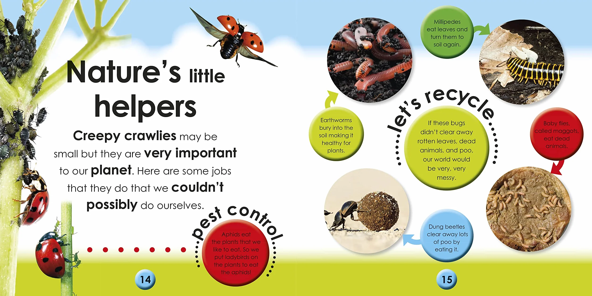 First Facts Bugs