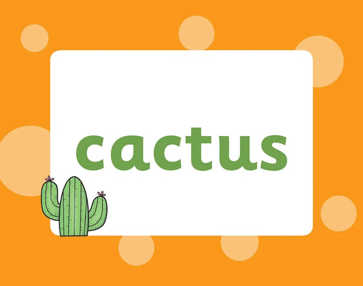 Sentence Building Flashcards for Ages 5-7