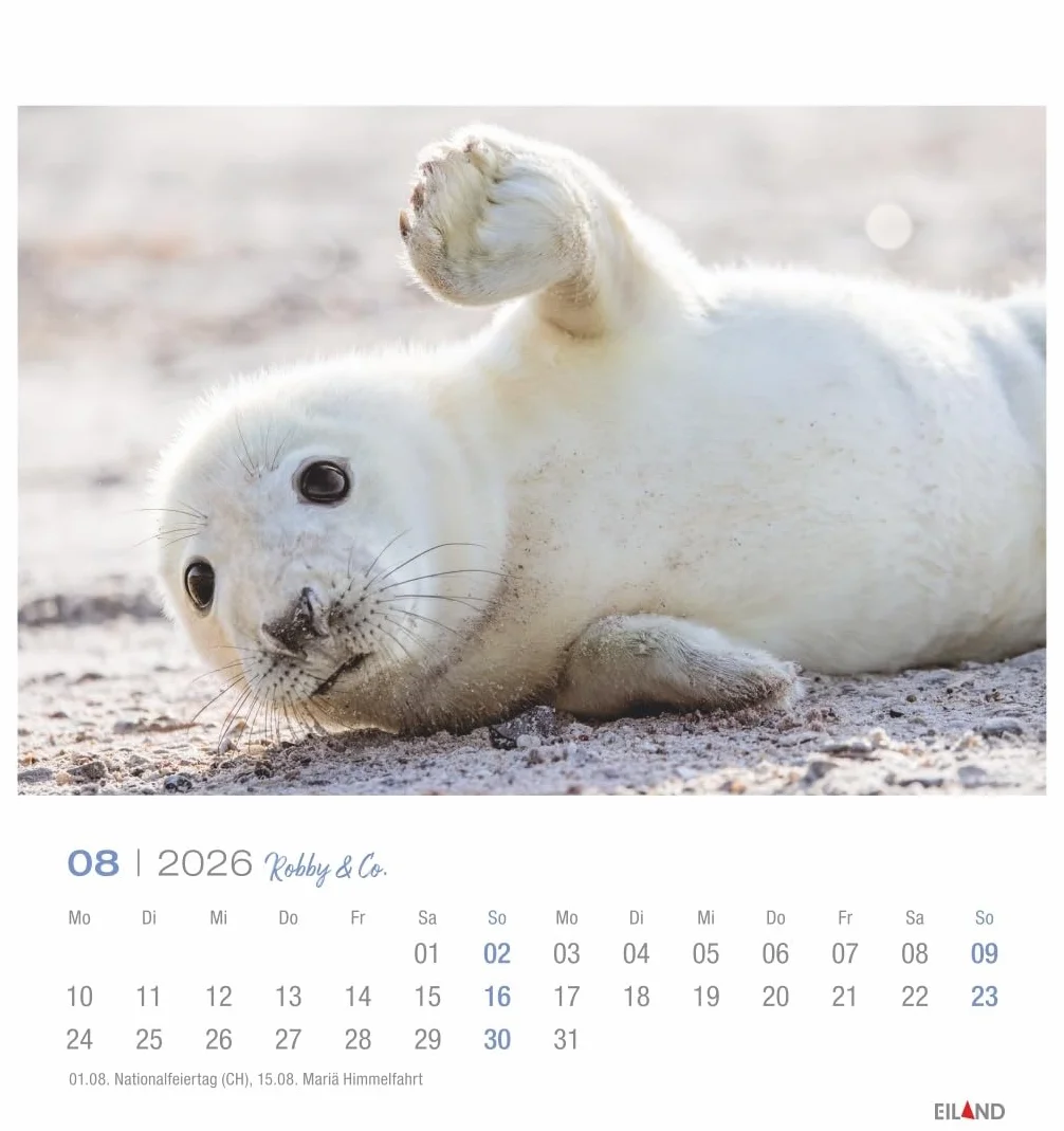 Robby & Co. Postkartenkalender 2026: Robben und Seehunde in natürlicher Umgebung in einem kleinen Kalender. Postkarten-Fotokalender für Tierfreunde zum Aufstellen oder Aufhängen