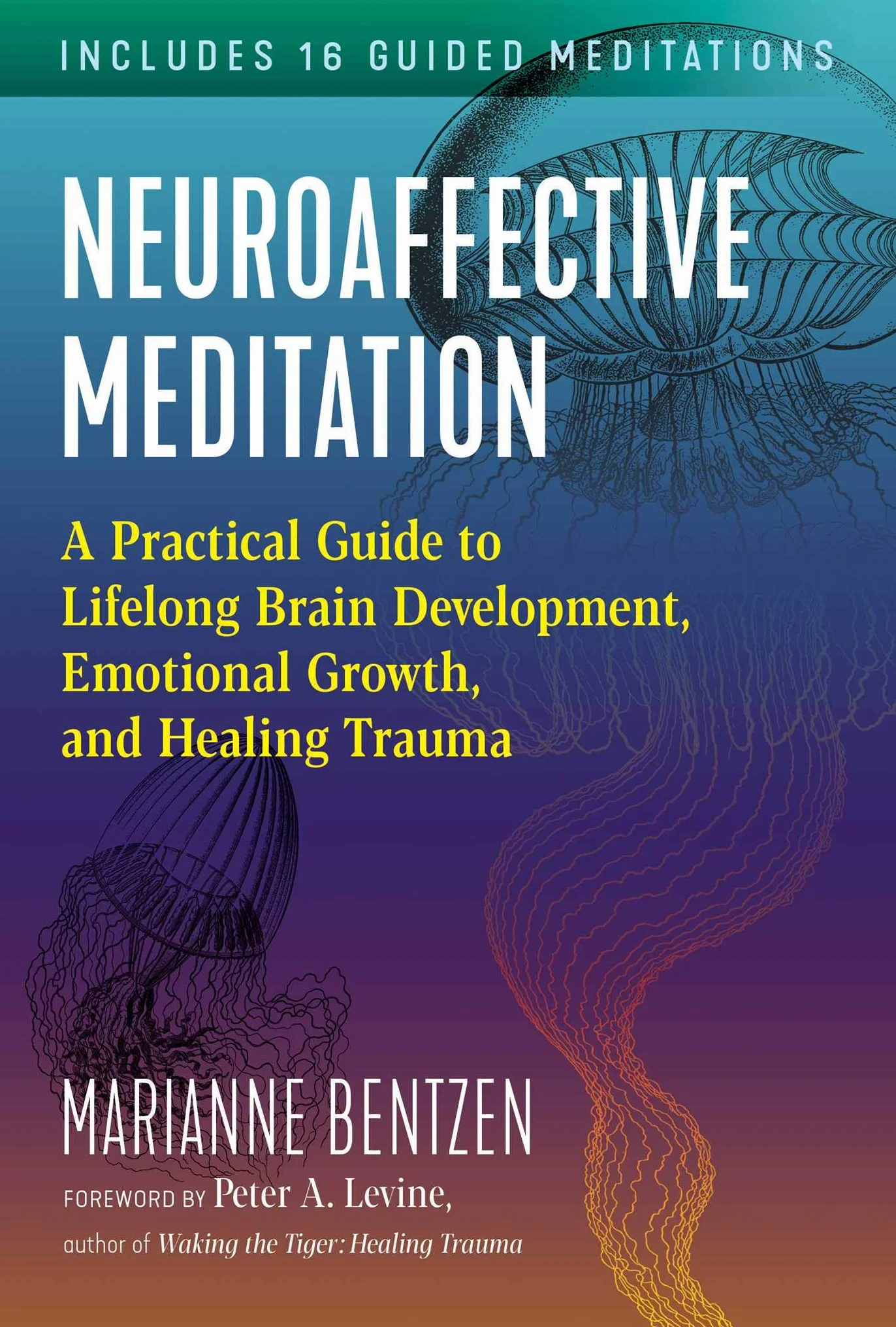 Neuroaffective Meditation: A Practical Guide to Lifelong Brain Development, Emotional Growth, and Healing Trauma