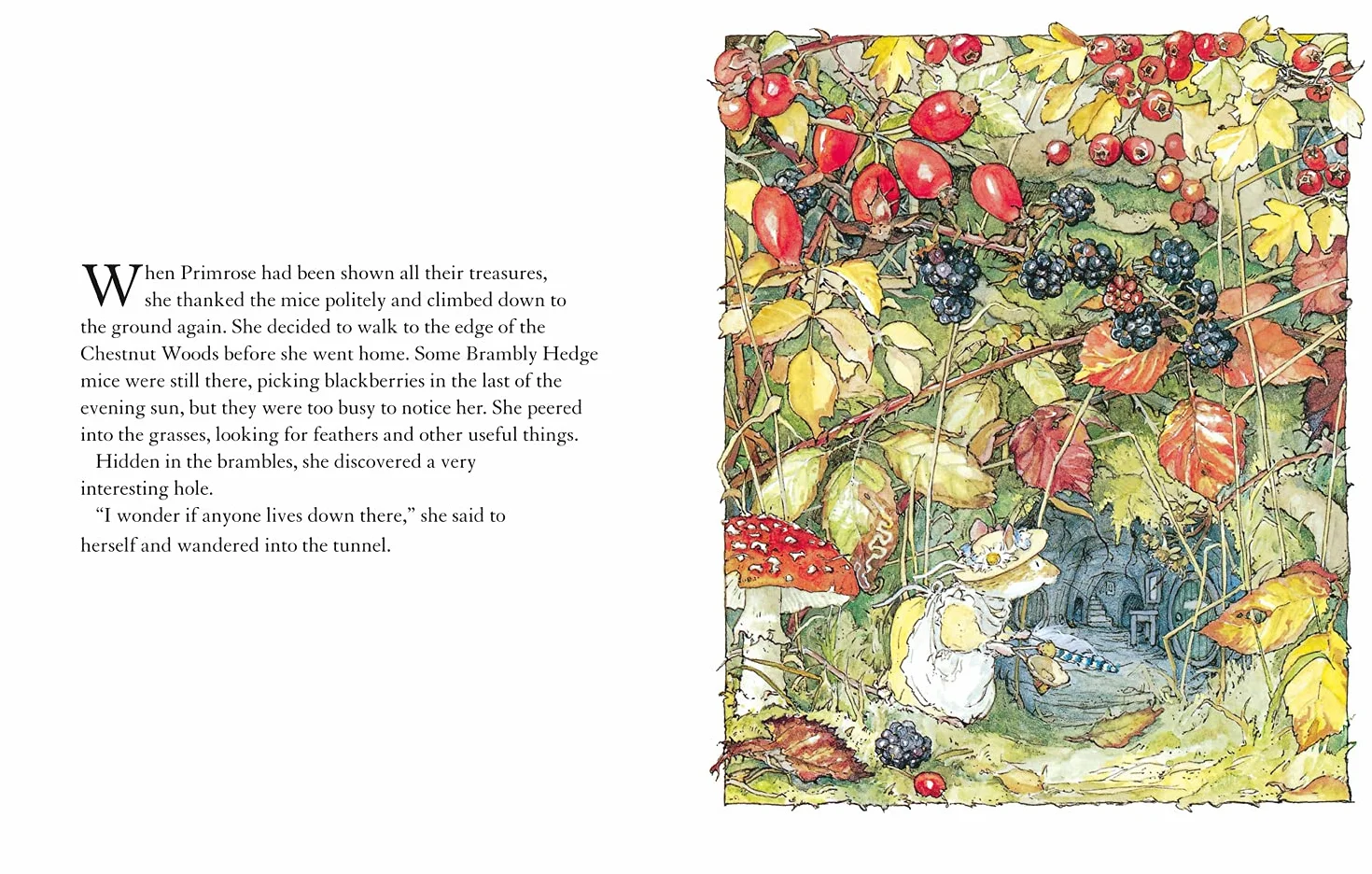 Autumn Story: Introduce children to the seasons in the gorgeously illustrated classics of Brambly Hedge!