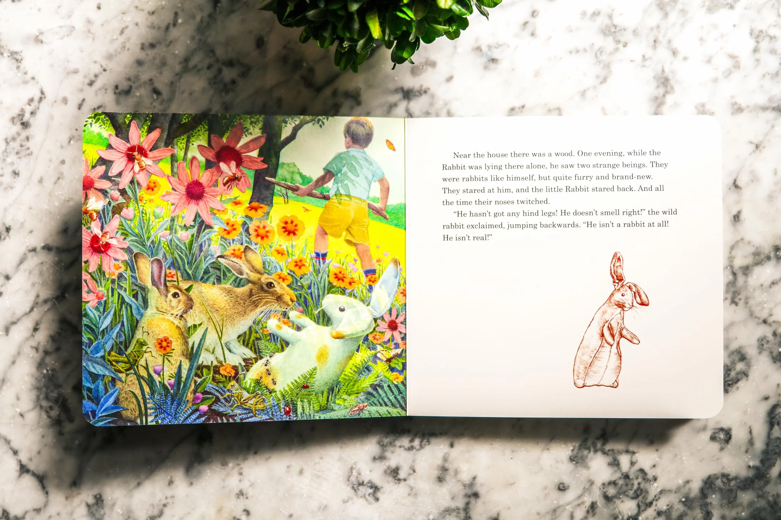 The Velveteen Rabbit Board Book: The Classic Edition