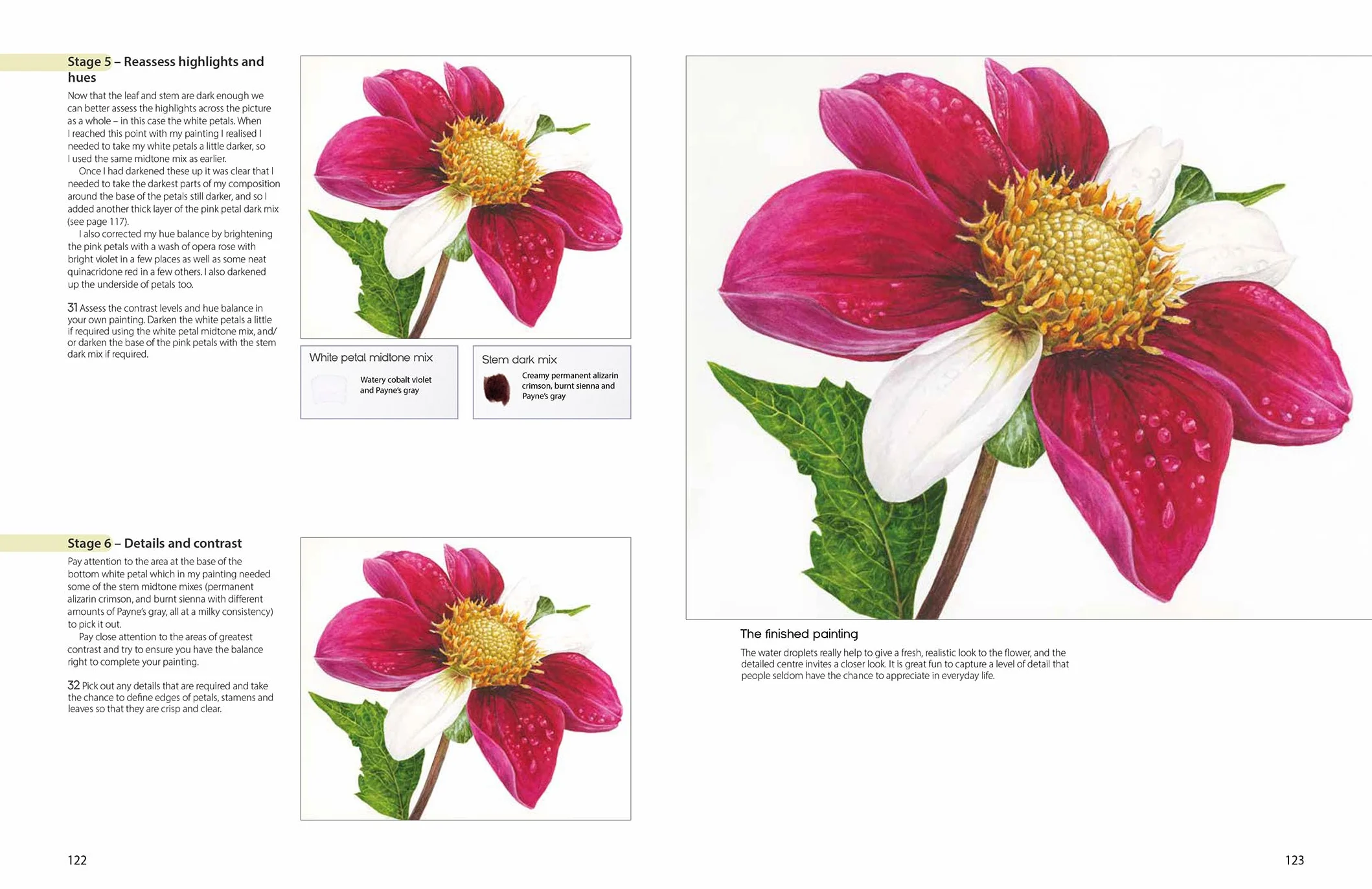 The Modern Flower Painter: Creating Vibrant Botanical Portraits in Watercolour