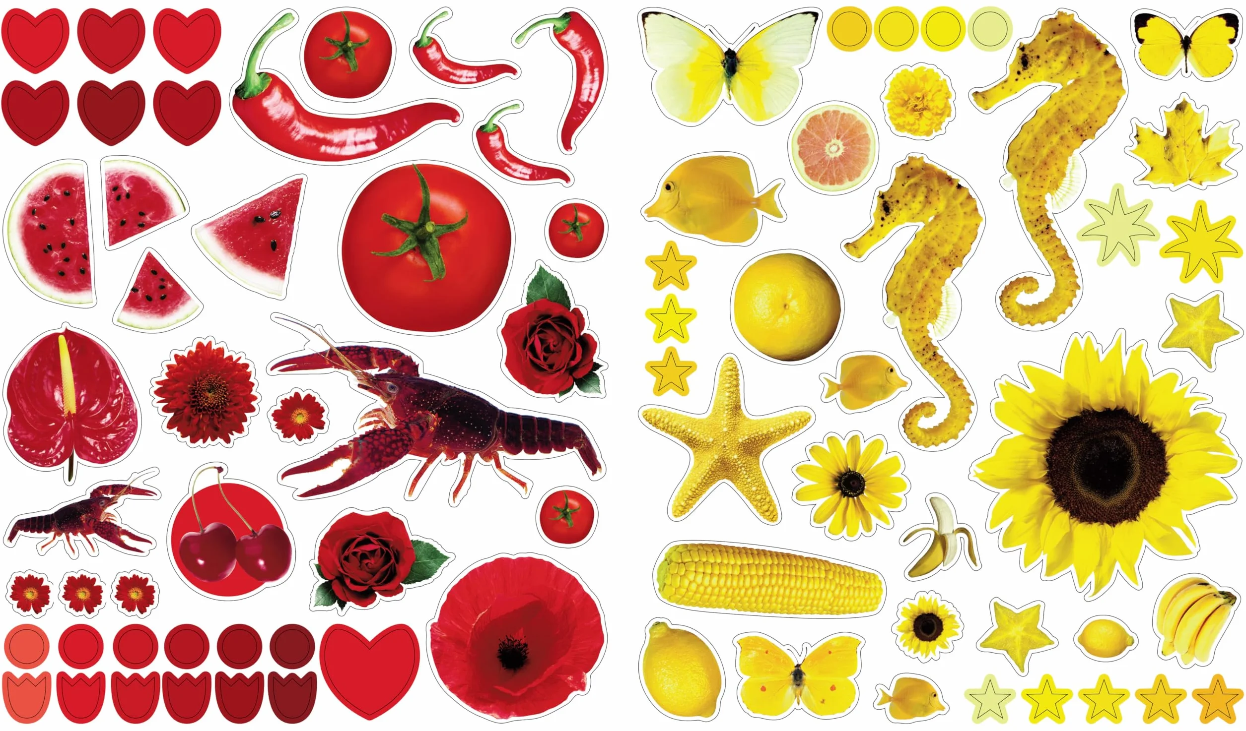 Eyelike Stickers: Colors: 400 Reusable Stickers Inspired by Nature