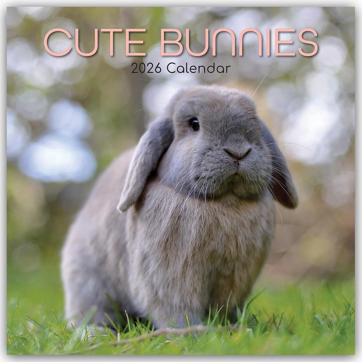 Cute Bunnies – Niedliche Kaninchen 2026 – 16-Monatskalender: Original Gifted Stationery-Kalender [Mehrsprachig] [Kalender]