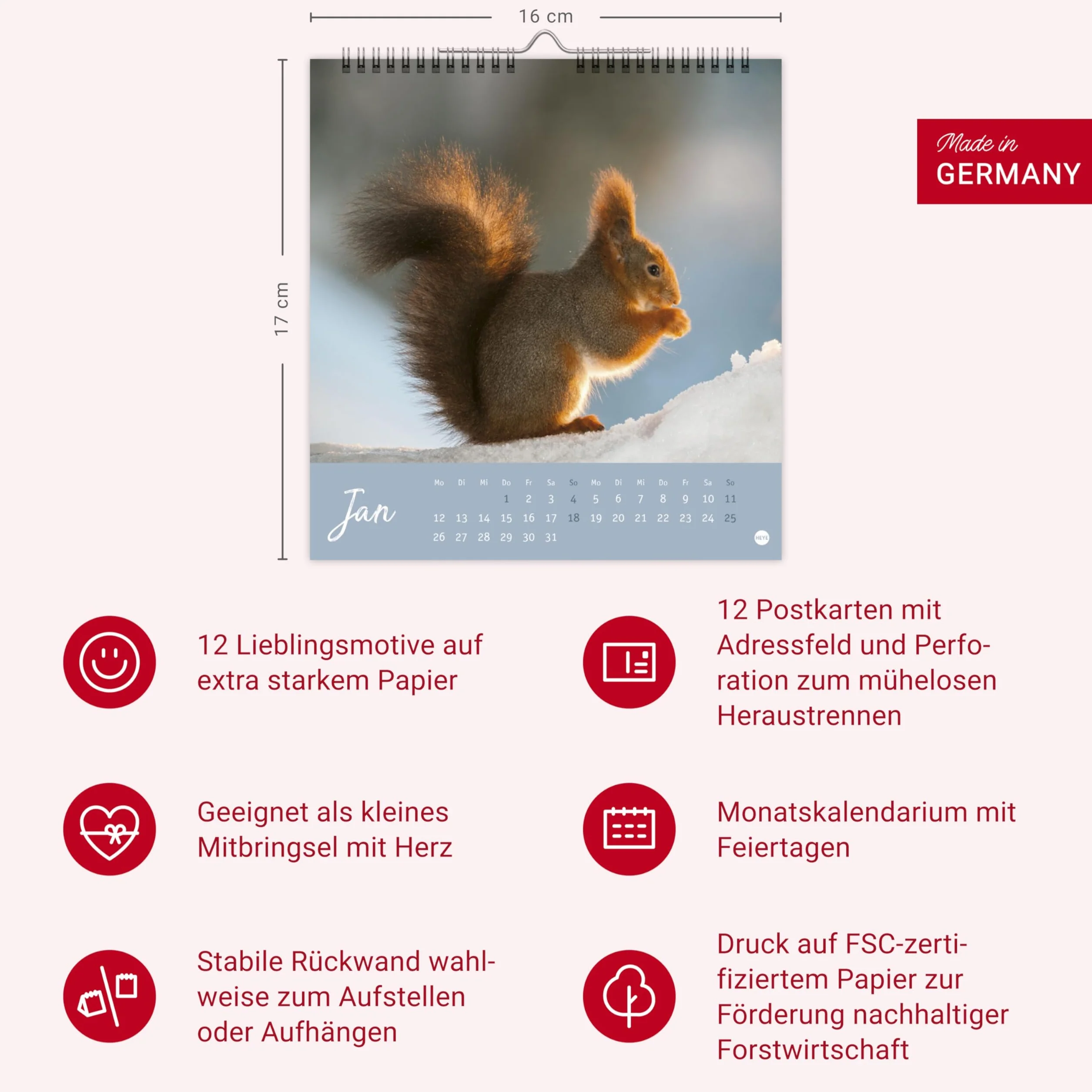 Eichhörnchen Postkartenkalender 2026: Dekorativer Monats-Tischkalender zum Aufstellen oder Aufhängen. Fotokalender voll niedlicher Eichhörnchenbilder, als Postkarten zum Sammeln und Verschicken.