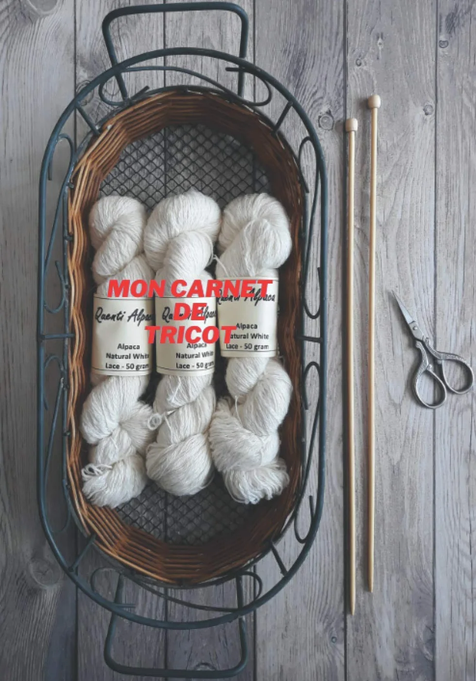 mon carnet de tricot: a remplir pour noter et organiser ces projets, tenir un inventaire des matériaux etnoter vos nouvelles idées du beau intérieur ... tricoteuse et tous ceux qui aiment le tricot