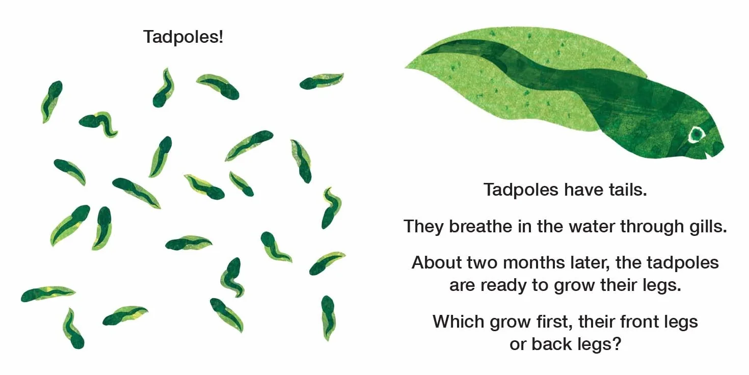 How Does a Tadpole Grow?: Life Cycles with The Very Hungry Caterpillar (The World of Eric Carle)