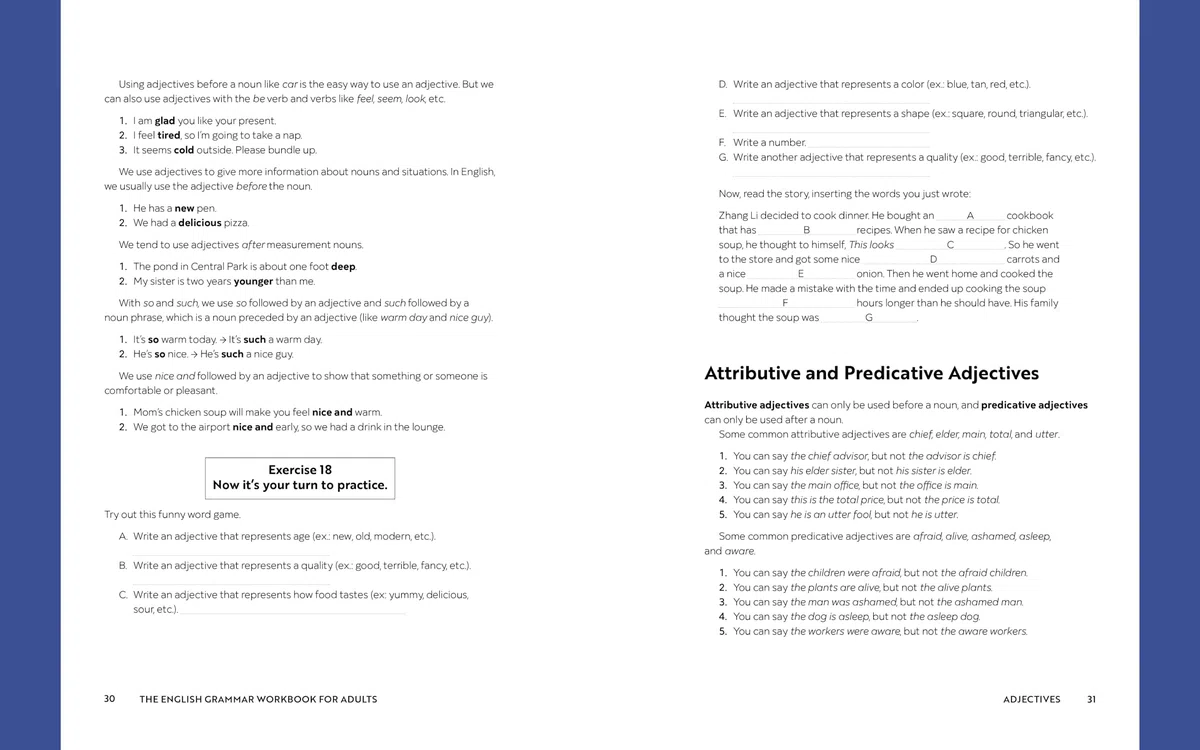 The English Grammar Workbook for Adults: A Self-Study Guide to Improve Functional Writing