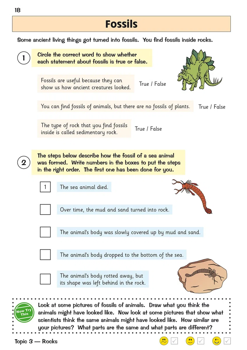 KS2 Science Year 3 Targeted Question Book (includes answers)