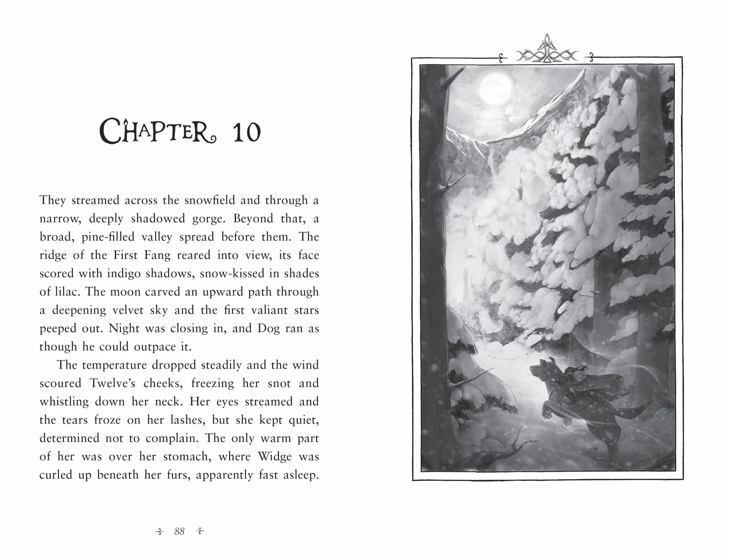 Fireborn: Twelve and the Frozen Forest: The extraordinary first book in the bestselling fantasy series for readers aged 8-12