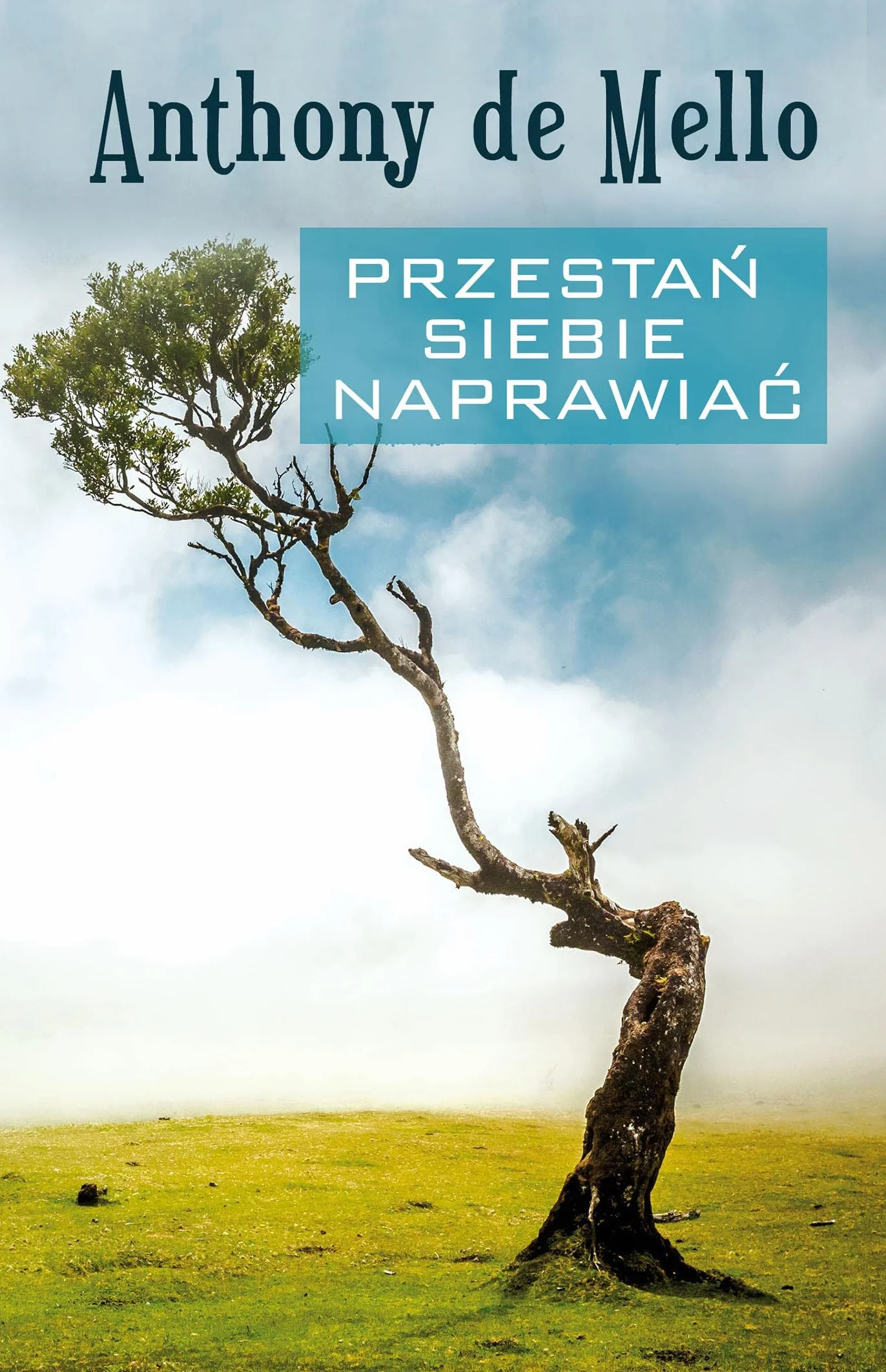 PRZESTAŃ SIEBIE NAPRAWIAĆ