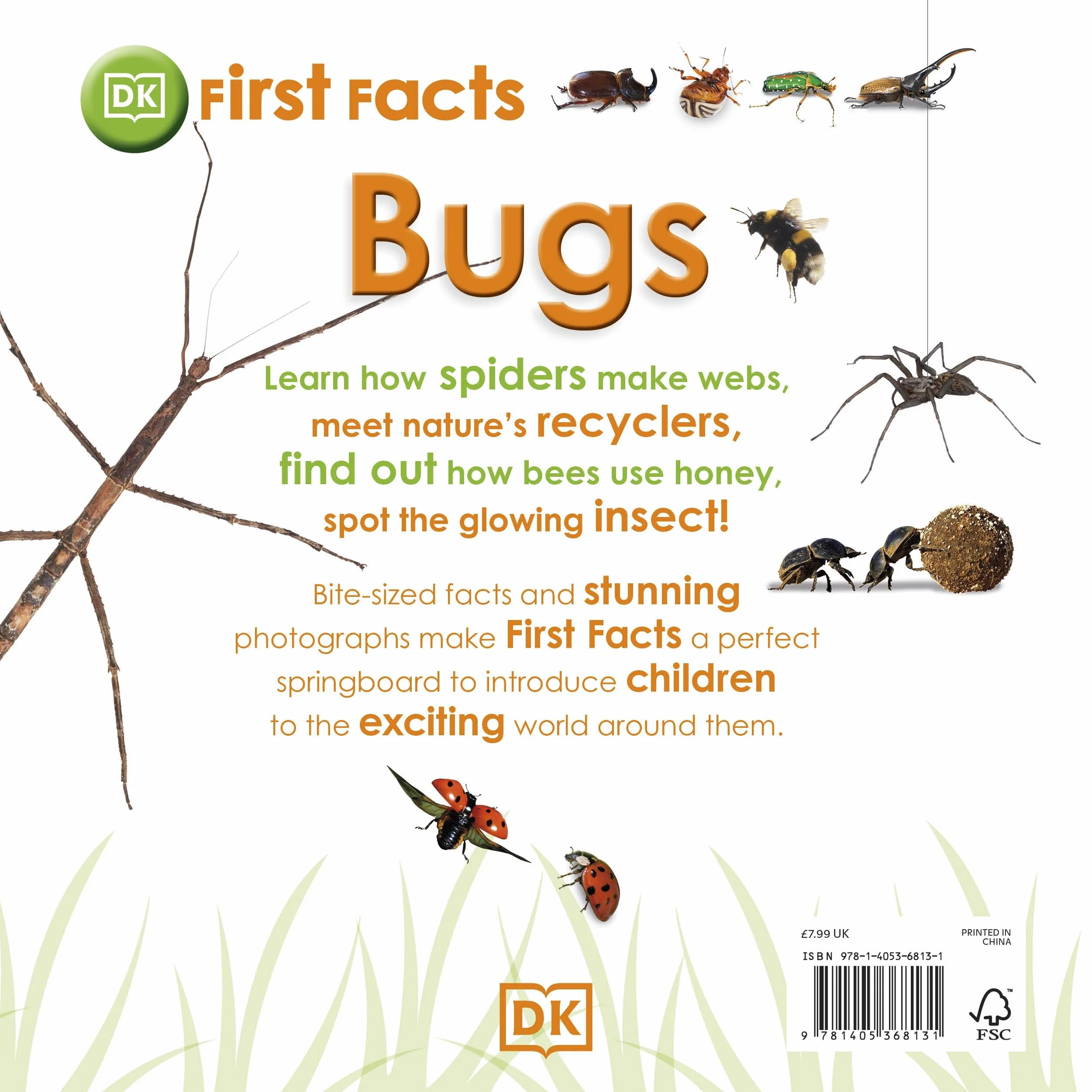 First Facts Bugs