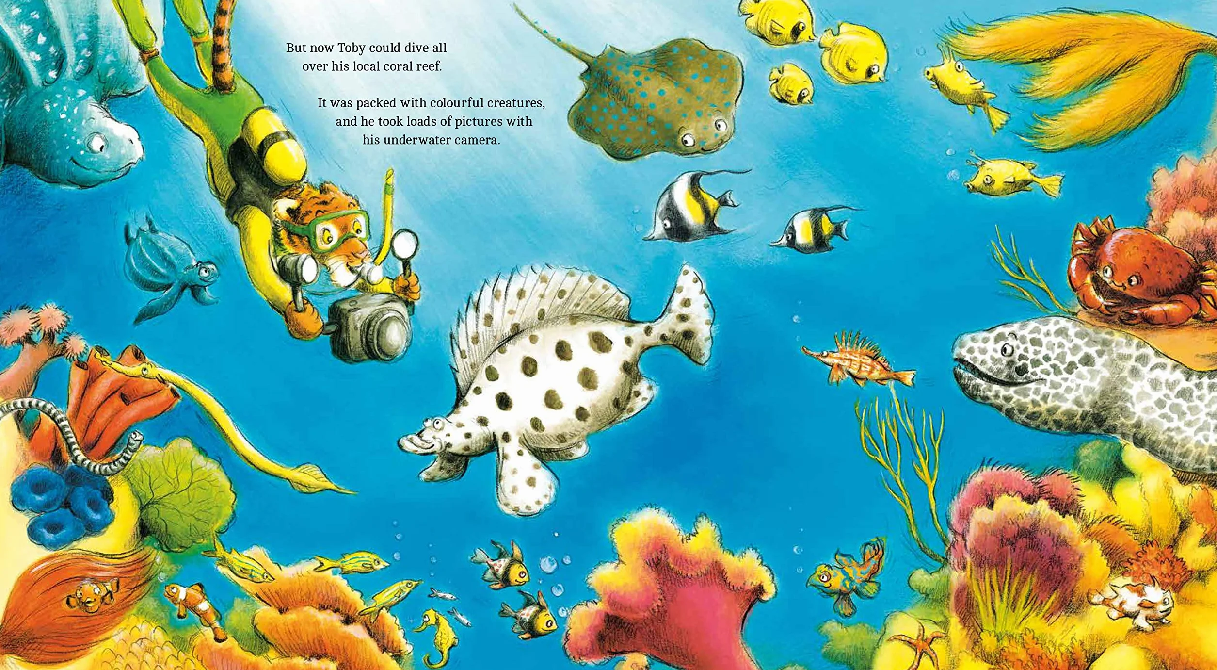 Animal Explorers: Toby the Deep-Sea Diver PB