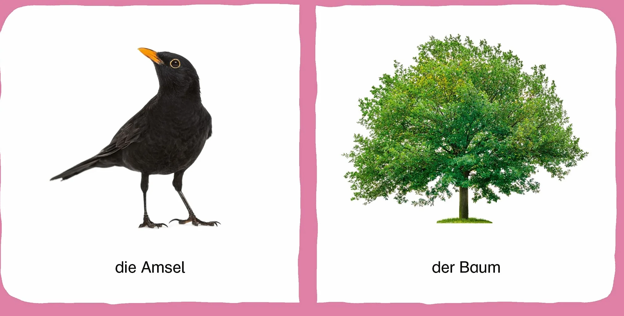 Meine erste Bilderwelt - Erste Wörter: 6 Bücher im Schuber