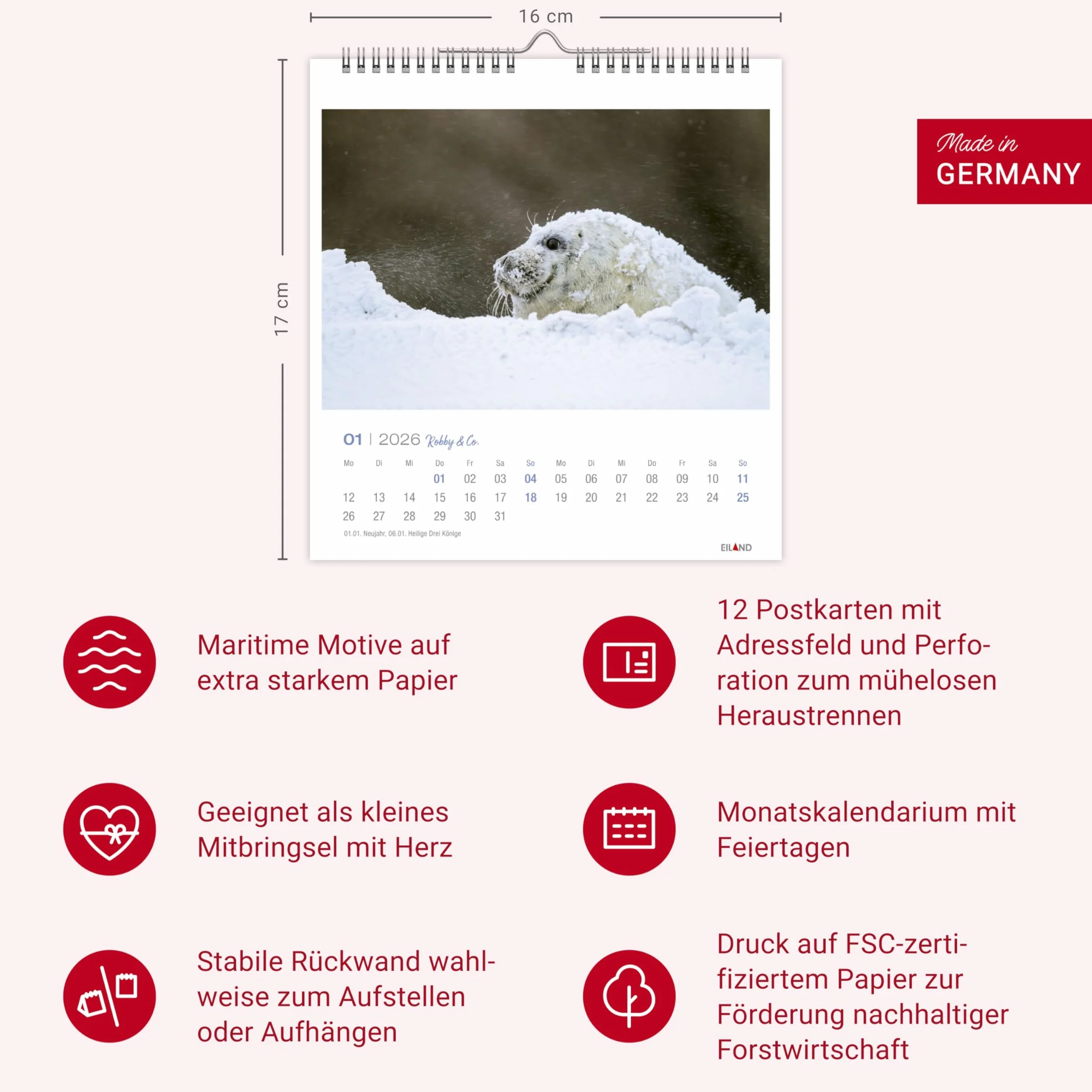 Robby & Co. Postkartenkalender 2026: Robben und Seehunde in natürlicher Umgebung in einem kleinen Kalender. Postkarten-Fotokalender für Tierfreunde zum Aufstellen oder Aufhängen